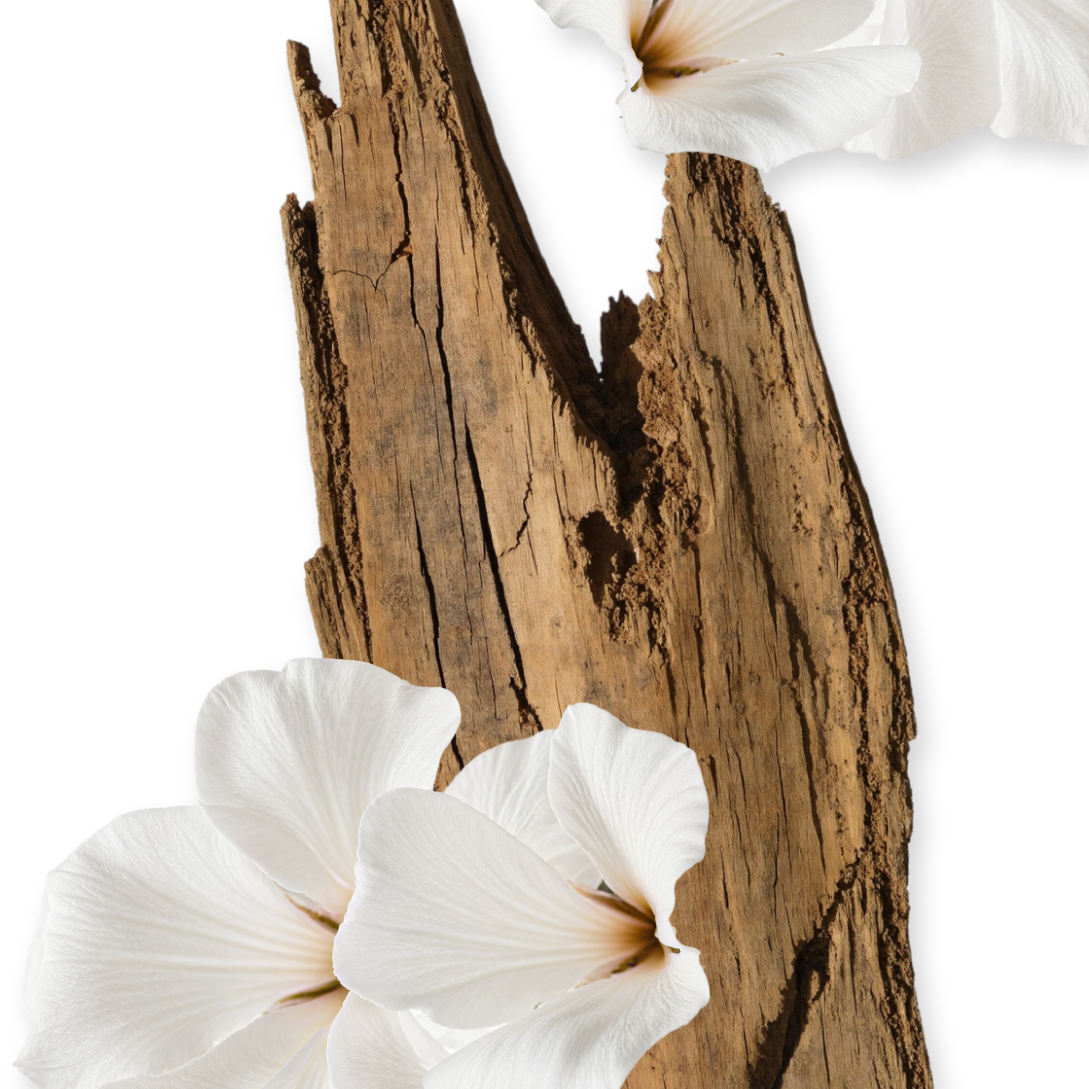 VALAYA BODY CREAM REFILL - Image 2